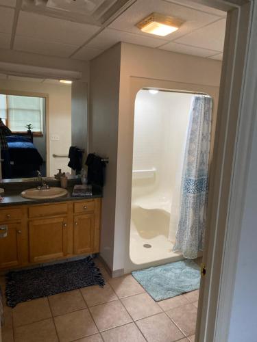 een badkamer met een douche en een wastafel bij Pershing, Heights, 102 in New Kensington