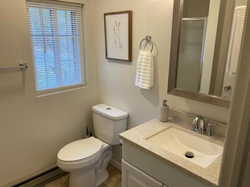 a white bathroom with a toilet and a sink at Cute private Wooded Cabin near the big lake in Tafton