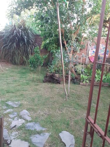 a garden with a small tree in the yard at INFINITO YO, espacio pensado para mujeres solas o con su pareja in Carmelo