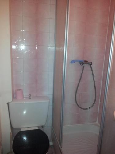 une salle de bain avec douche et toilettes dans l'établissement Hôtel du Terrage, à Paris