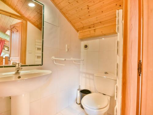 une salle de bain avec toilettes, lavabo et miroir dans l'établissement Chalet Papillon - 8 pers - À deux pas du Lac des Ecoles et des pistes de ski - FR-1-685-4, aux Gets