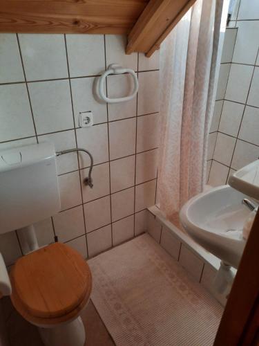 a small bathroom with a toilet and a sink at House Sumska Idila in Jasenak
