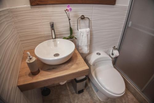 a bathroom with a sink and a toilet at Flores de la Villa in Huayoccare