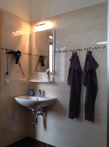 a bathroom with a sink and a mirror at Pension an der Werft II in Rostock
