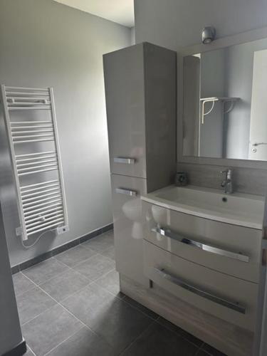 une salle de bain avec un lavabo et un miroir dans l'établissement Belle Maison MALOU climatisée calme, piscine, jacuzzi 3km plage Labenne Capbreton, à Labenne