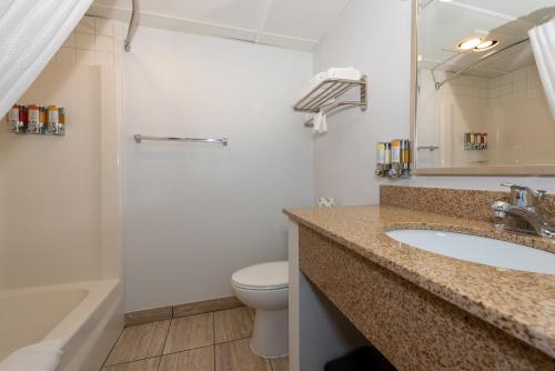 a bathroom with a sink and a toilet and a shower at Hotel Pommier Indianola in Indianola