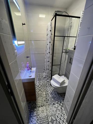 a bathroom with a sink and a toilet at Apartament Stary Zdroj Polanica Resort in Polanica-Zdrój