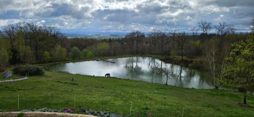 un étang au milieu d'un champ avec un cheval dans l'établissement les bois de saint Auvent, à La Geneytouse