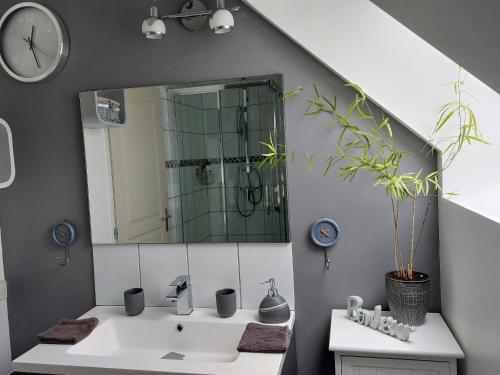 a bathroom with a sink and a mirror at Detente a la campagne in Myennes