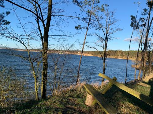 a wooden bench sitting next to a body of water at Noclegi Little Sheep in Chojna