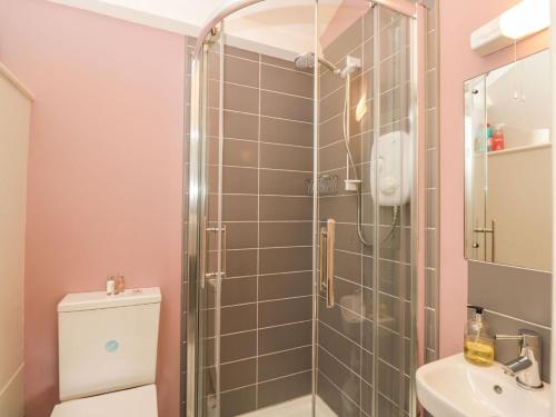 a bathroom with a shower and a toilet and a sink at Bower Coach House in Martock