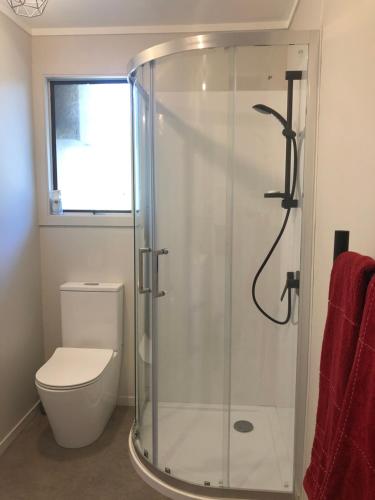 a bathroom with a glass shower with a toilet at #5 on Blenheim St in Renwick