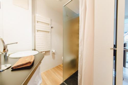 y baño con lavabo y ducha. en M2 Living Apartment No 5, en Prerow
