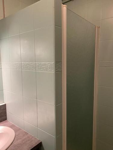 La salle de bains est pourvue d'une douche et d'un lavabo. dans l'établissement Chambre meublée verte boulevard Joseph vallier, à Grenoble