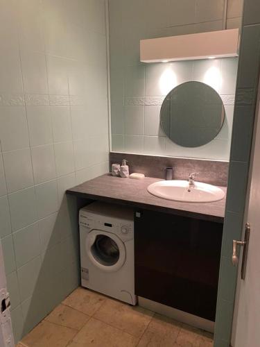 y baño con lavadora y lavamanos. en Chambre meublée verte boulevard Joseph vallier, en Grenoble