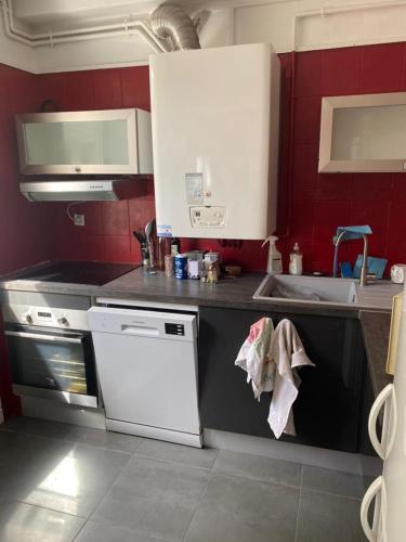 uma cozinha com um fogão branco forno ao lado de um lavatório em Chambre meublée verte boulevard Joseph vallier em Grenoble