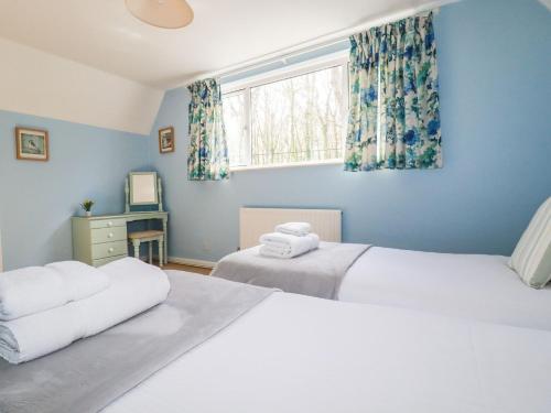 two beds in a bedroom with blue walls and a window at Trevow in Camborne