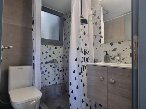La salle de bains est pourvue de toilettes, d'un lavabo et d'une douche. dans l'établissement Tiffany's apartments -2' walk from Metro, à Athènes