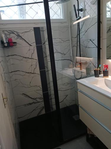 une salle de bain avec douche et lavabo dans l'établissement Escapade blésoise, à Blois