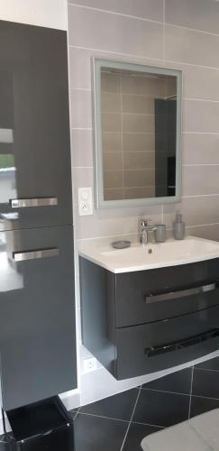 une salle de bain avec un lavabo et un miroir dans l'établissement LA LADRILLAIS, à Saint-Père