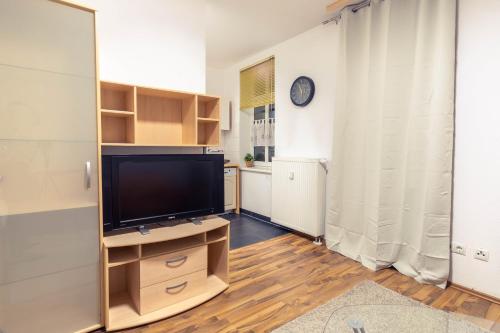 萊比錫的住宿－Balkon, Waschmaschine, TV, Einzelbetten, nahe Völkerschlachtsdenkmal，客厅设有木架上的平面电视