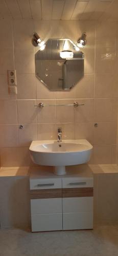 a bathroom with a sink and a mirror at Ferienwohnung "An den Kurwiesen" in Masserberg