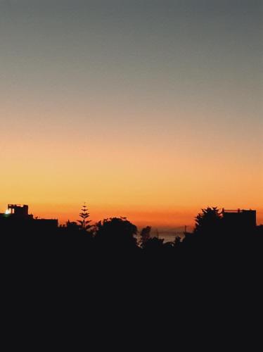 an orange sunset with trees in the foreground at Appartment with terrrasse ANDALUCIA Inn Tanger in Tangier