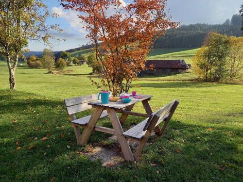 una mesa de picnic de madera sentada en un campo en Ferienhaus Kaltenbach, en Titisee-Neustadt