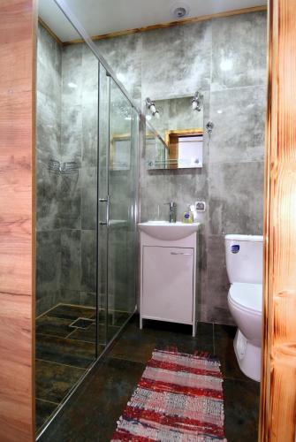 a bathroom with a shower and a toilet and a sink at Pod Słowackim in Szczawnica