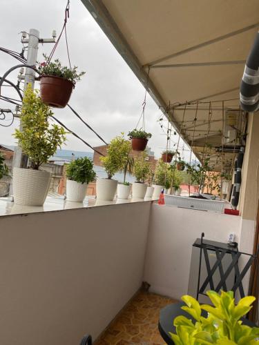 a row of potted plants on a balcony at Siqvaruli in Tbilisi City