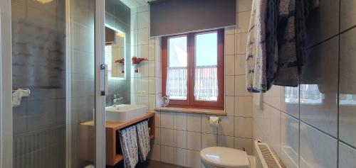 a bathroom with a toilet and a sink and a window at Ferienhaus Wiedmann in Haundorf