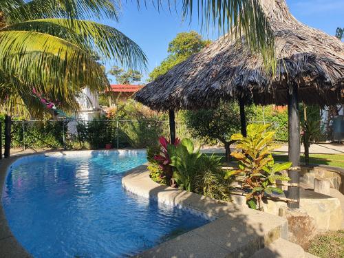 una piscina con sombrilla de paja y algunas plantas en Casa Nova en Puerto Colombia