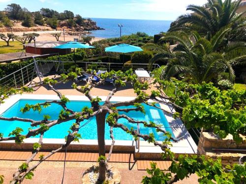 a view of a swimming pool and the ocean at Villa Playa in L'Ametlla de Mar