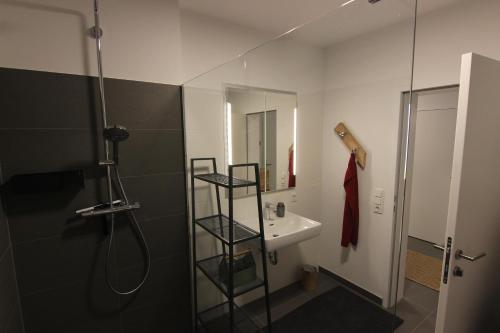 Kúpeľňa v ubytovaní Ferien im grünen Reiterndorf