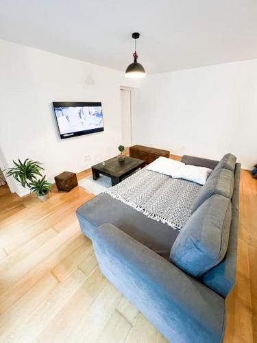 een woonkamer met een bank en een flatscreen-tv bij Appartement Bayonne in Bayonne