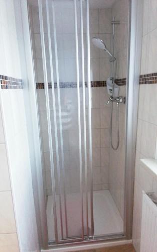 a shower with a glass door in a bathroom at FERIENWOHNUNG POLZER 1 in Hohnstein