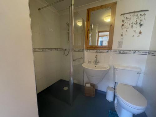 a bathroom with a shower and a toilet and a sink at Sunnyside in Veryan
