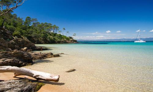 A beach at or near the holiday home