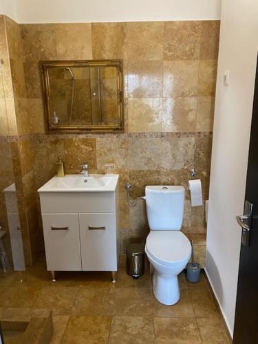 bagno con servizi igienici bianchi e lavandino di Vila De la Lugas a Oradea