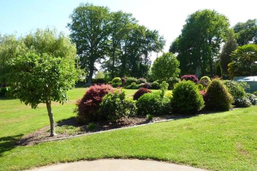 a garden with a row of bushes and a tree at Rustling Oaks NZ Boho Pool House in Cambridge
