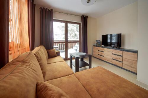 a living room with a couch and a television at Apartamenty Sun Seasons 24 - Skalne in Karpacz