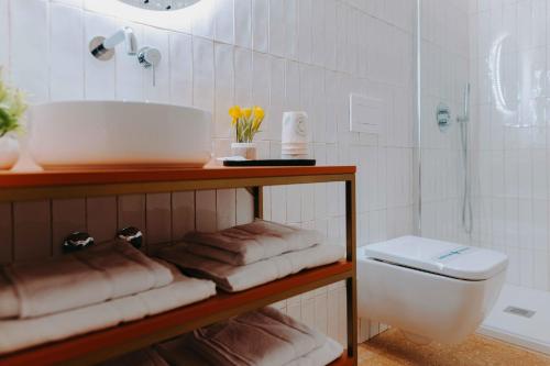 ein Bad mit einem Waschbecken, einem WC und einer Dusche in der Unterkunft Apartamentos Santa Isabel in Murcia