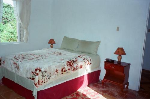 Gallery image of Boston Beach Guesthouse in Port Antonio