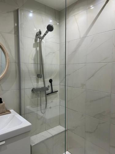 a shower with a glass door next to a sink at Appartement 2 pièces in Nice