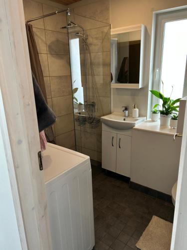 ein Bad mit einer Badewanne, einem Waschbecken und einer Dusche in der Unterkunft Kreutzwaldi kodu in Võru