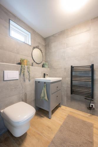a bathroom with a toilet and a sink and a mirror at Vakantiehuis De Zeearend Dishoek in Dishoek