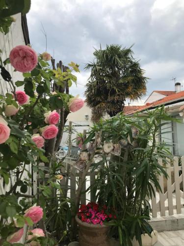 a garden with pink flowers and a white fence at LE PALMIER in Royan