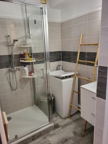 une salle de bain avec douche et lavabo dans l'établissement Charmant appartement !, au Barcarès