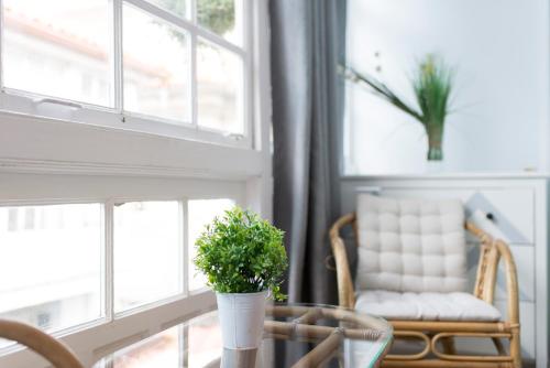 a plant sitting on a table in front of a window at Hotel A Falúa in Puentedeume