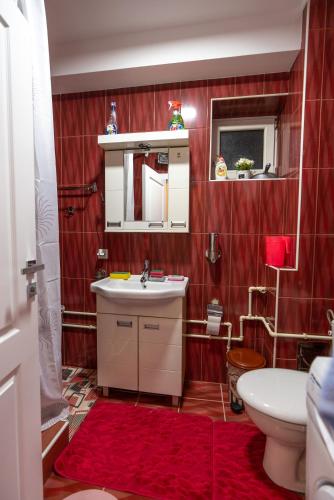 Ένα μπάνιο στο Apartman Rankovic Valjevo